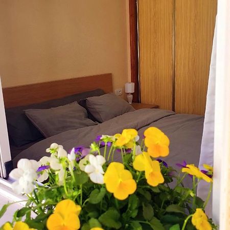 Isamar Apartamento Playa Del Cura Торевиеха Екстериор снимка