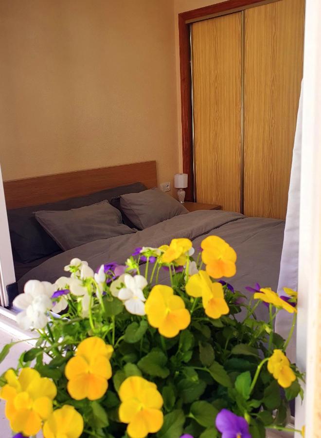 Isamar Apartamento Playa Del Cura Торевиеха Екстериор снимка
